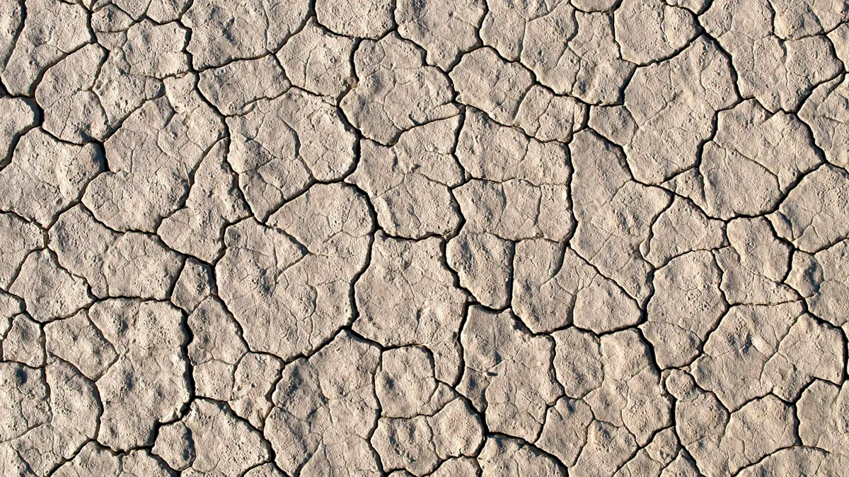 El Niño firms, dry spring ahead