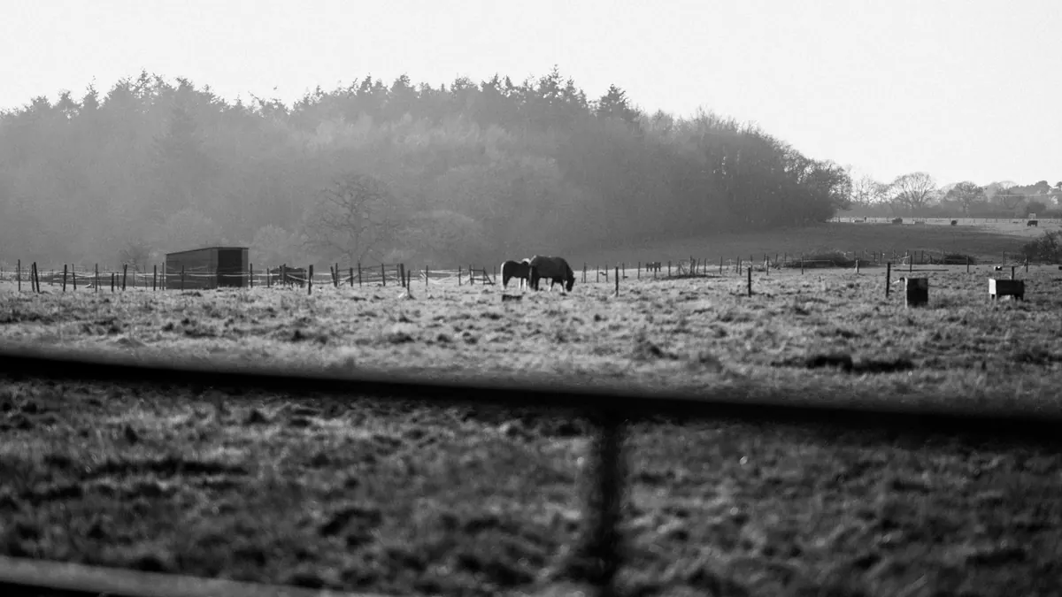 Frost warnings narrow as a ridge settles in