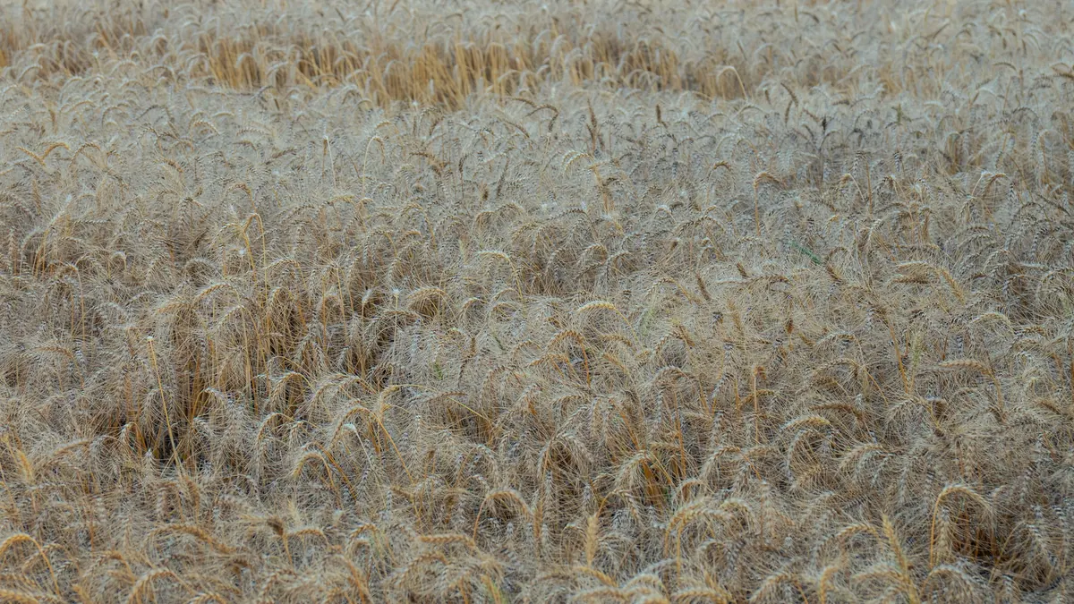 Frost warnings for Victoria and SA