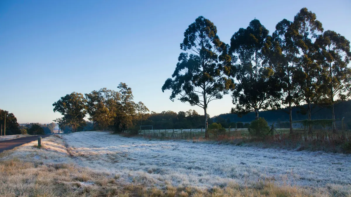 Mount Hotham falls to minus 5 in Saturday frost