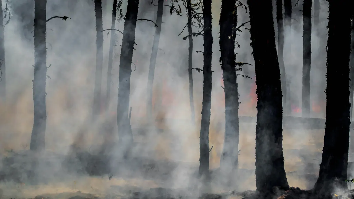 Queensland fires burn on as Teelah warning eases