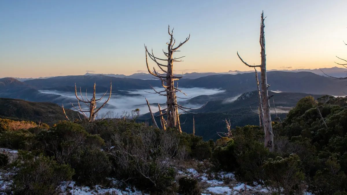 Provisional record high pressure over Tasmania