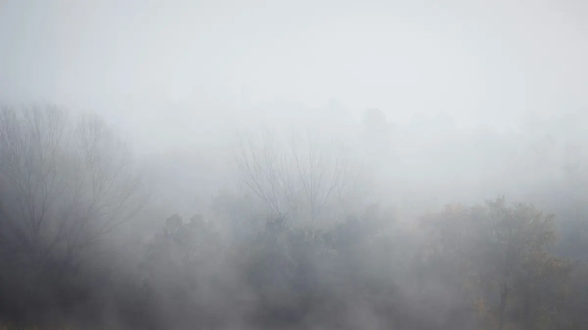 Frosty, foggy morning before weekend change