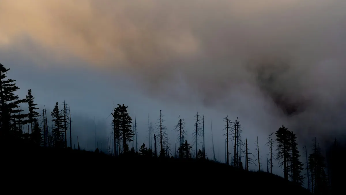 Spain declares wildfire emergency