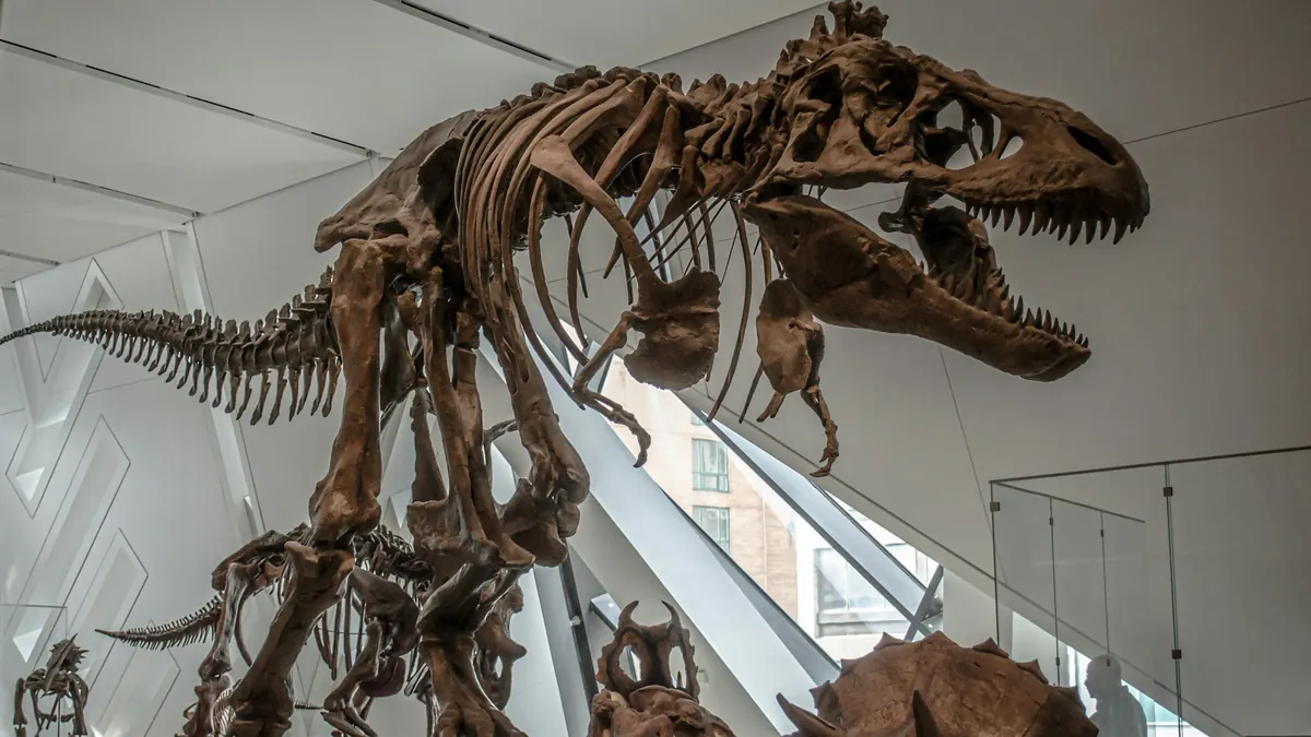 T. rex Gus sells for US$50.1m