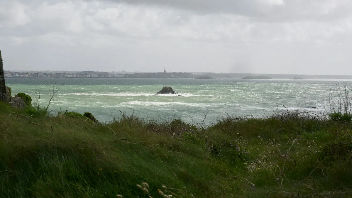 Damaging winds to hit Tasmania from early Thursday