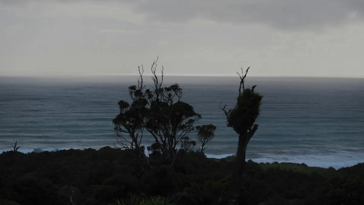 Damaging winds warned for WA's south coast