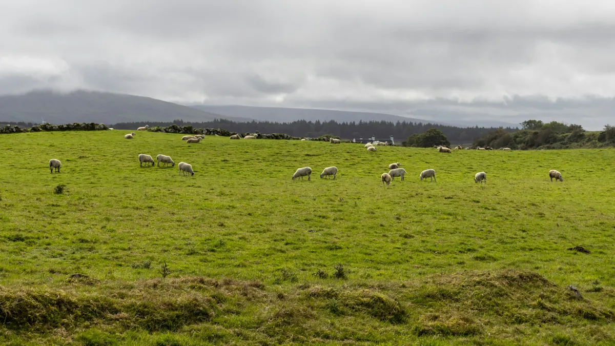 Wind warnings cancelled as cold air hits southeast